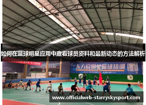 如何在篮球明星应用中查看球员资料和最新动态的方法解析