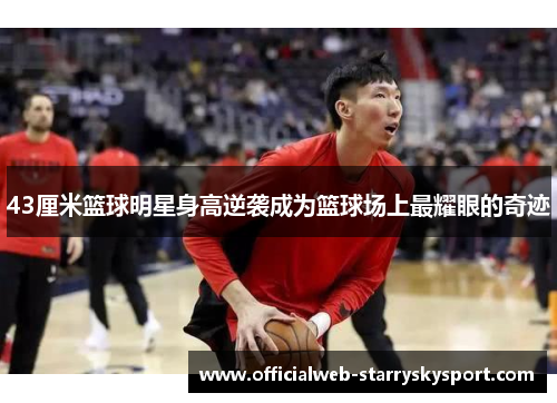 43厘米篮球明星身高逆袭成为篮球场上最耀眼的奇迹