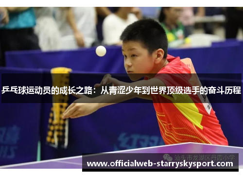 乒乓球运动员的成长之路：从青涩少年到世界顶级选手的奋斗历程
